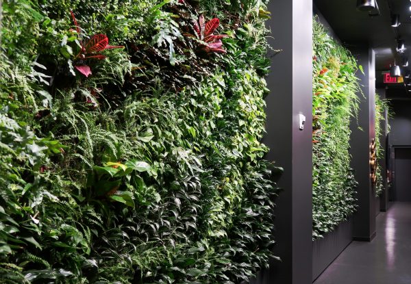 Custom Green Walls, Plant Walls, Vertical Gardens, Living Walls by ...