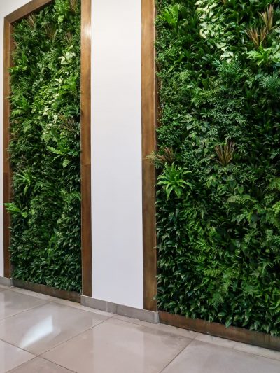 Plant Walls in Private Residences | plantwalldesign